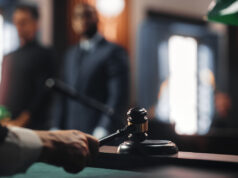 Should You Plead Guilty or Go to Trial?