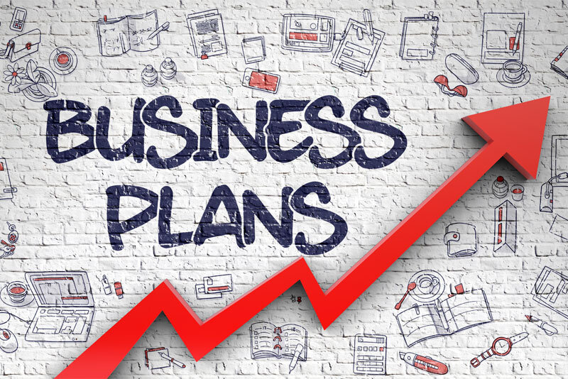 business plan consultant fee